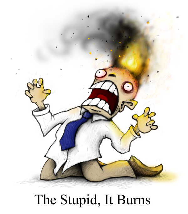 The_Stupid__It_Burns_by_Plognark